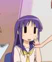 4960D626-7CC5-4B9A-AC0D-E19B998865D3.gif