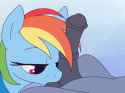 1141588__explicit_artist-colon-stoic5_rainbow+dash_oc_animated_balls_balls+fetish_ball+sucking_bedroom+eyes_big+penis_eyelashes_horsecock_nudity_offscr.gif