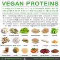 proteins.png