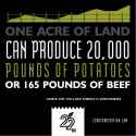 2c1b40bf5fcbf55424b851190e383208--plant-based-diet-fun-facts.jpg