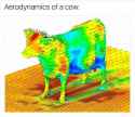 14C8FB2B-F9CC-4F0F-BED1-1A51D59A9A24.jpg