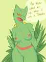 Sceptile26.png