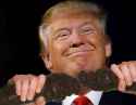 gee don two logs.jpg