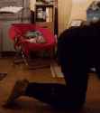 videotogif_2017.11.12_02.14.10.gif