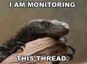 I Am Monitoring This Thread.jpg