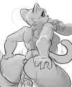 musclecat.jpg