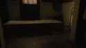 shelf cat (2).gif