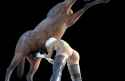 Nier3Horse3H.jpg
