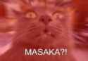 Masaka Well I Never.jpg