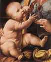 Leonardo_da_Vinci_The_Madonna_of_the_Carnation_detail2.jpg