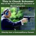 this-is-chuck-schumer-one-of-the-most-anti-gun-senators-28272878.png