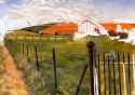 Stanley Spencer (164).jpg