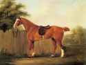 Sartorius_John_Nost_A_Chestnut_Hunter_Tethered_To_A_Fence.jpg
