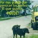 el-que-quiere-puede-sueños.jpg
