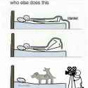 Blankets.jpg