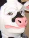 I WISH THE MILKMAN WOULD DELIVER MY MILK 4.jpg