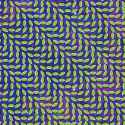 woah.jpg