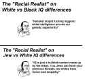 stormfag IQ self-contradiction.png