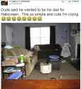 nigga.jpg