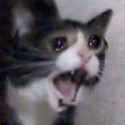 ahhhhhhhhhhhhhhhhhhhhhhhhhhhhhhhhhhhhhhhhhhhhhhhhhhhhhhhhhhhhhhhhhhhhhhhhhhhhhhhhhhhhhhhhhhhhhhhhhhhhhhhhhhhhhhhhhhhhhhhhhhhhhhhhhh.jpg