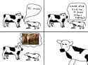 daddy cow.png