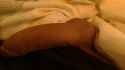 IMAG0549.jpg