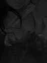received_1767283413573927.jpg