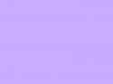 Lavender.png
