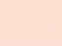 Seashell.png
