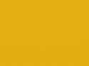 Honey Orange.png