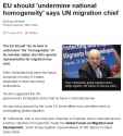 EU_should_undermine_national_homogeneity_says_UN_migration_chief_-_BBC_News_-_2017-11-22_19.27.35.png