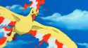 Moltres.jpg
