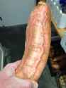 veiny yam penis dick vegetable.jpg