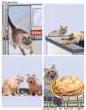 BCB7BD71-D336-4D74-A9CD-B6B1AE61BBC2.jpg