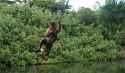 1496971957369.jpg