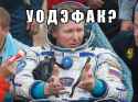 tmp_21691-russian dissapoint-314965914.png
