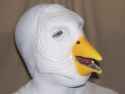 COO 6.jpg
