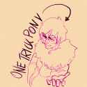 onetrickpony.png
