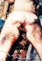 OGRISH-dot-com-RAPE_5.jpg