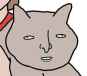 unknown.png