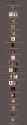 Capture+_2017-11-24-22-54-40-1.png