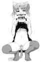 sample_f72dba89f6d387df31e8a61c88efd5b3.jpg