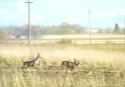 DSC01066.jpg