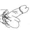 dick pic.jpg