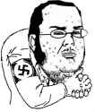 stormfag schemer.jpg