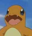 charmander.jpg