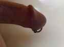 IMG00323-20110603-1347_zps2irkixyw.jpg