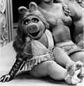 miss piggy.jpg