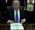 DonaldDraws1511797304554.gif
