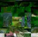 glitchr_1511543835000.jpg